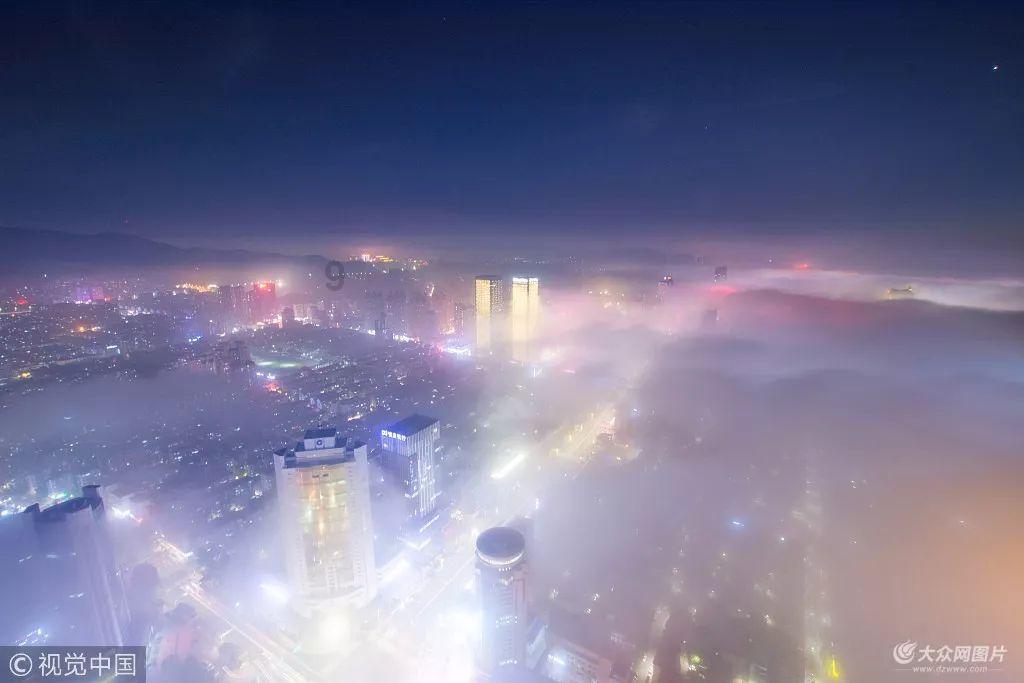动物帮帮忙保卫家园